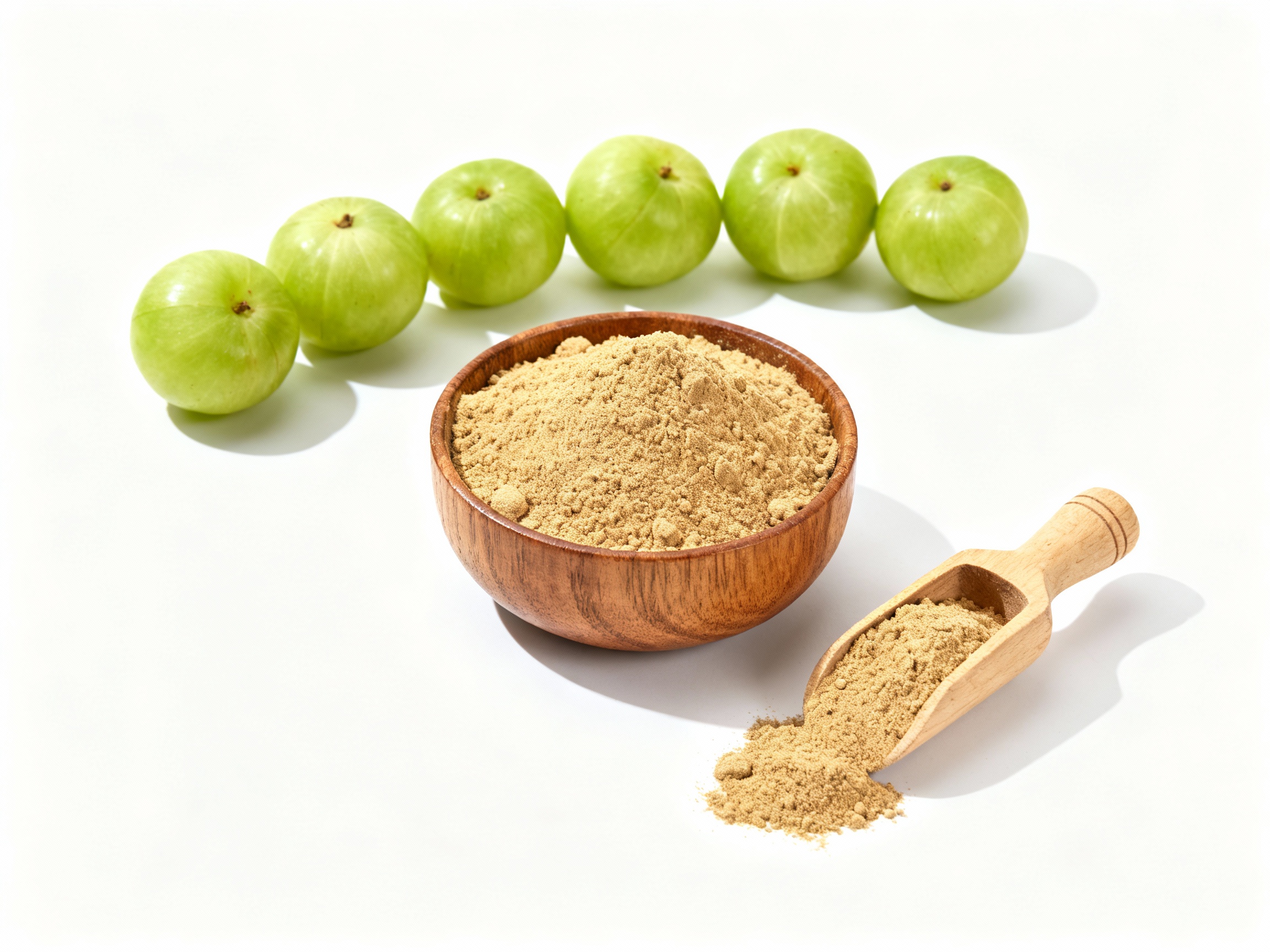 Amla Powder Export IndiRoot Exims