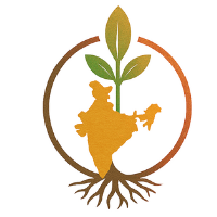 IndiRoot Exims logo