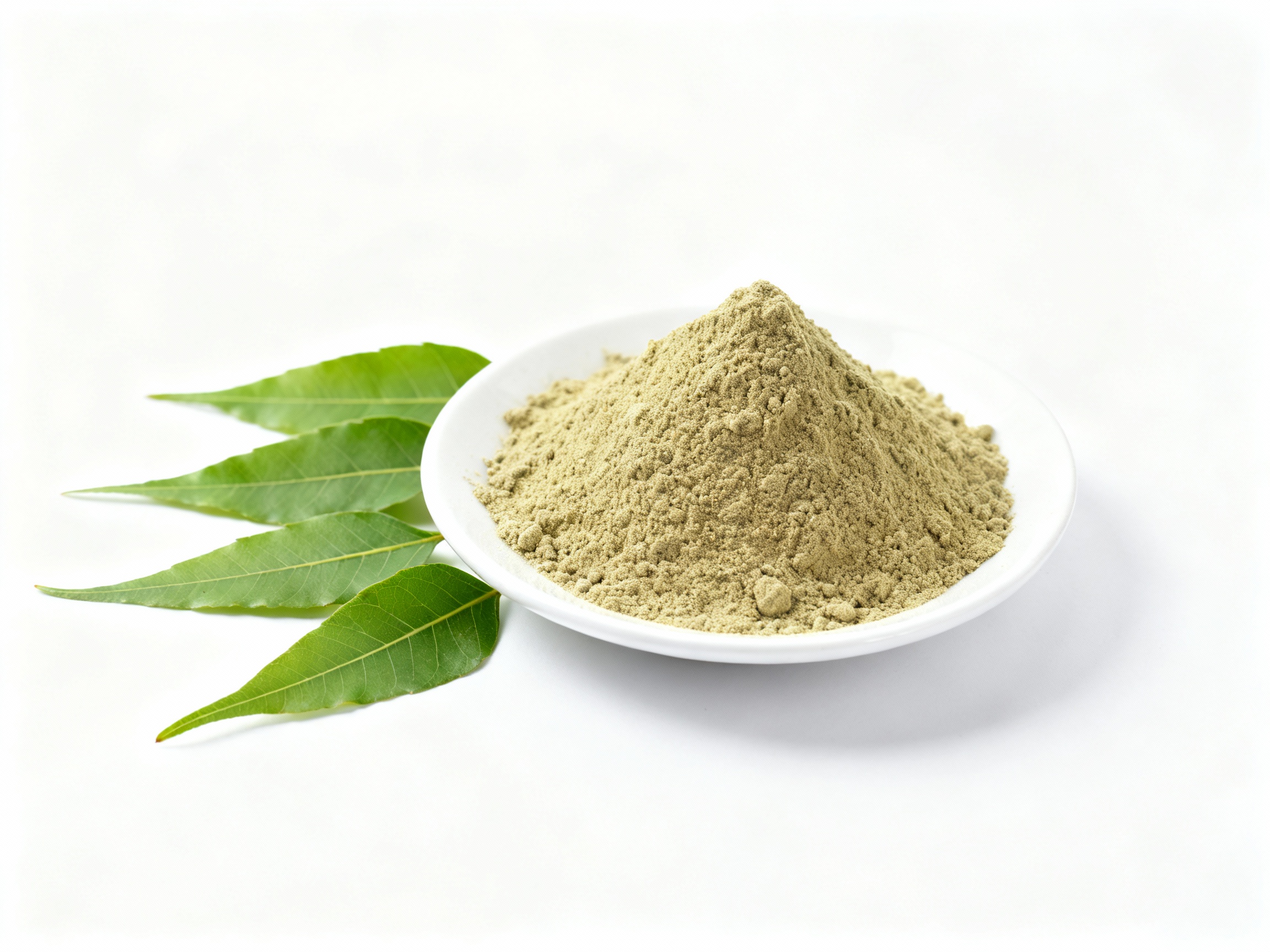 Spray Dried Neem Extract Powder from India