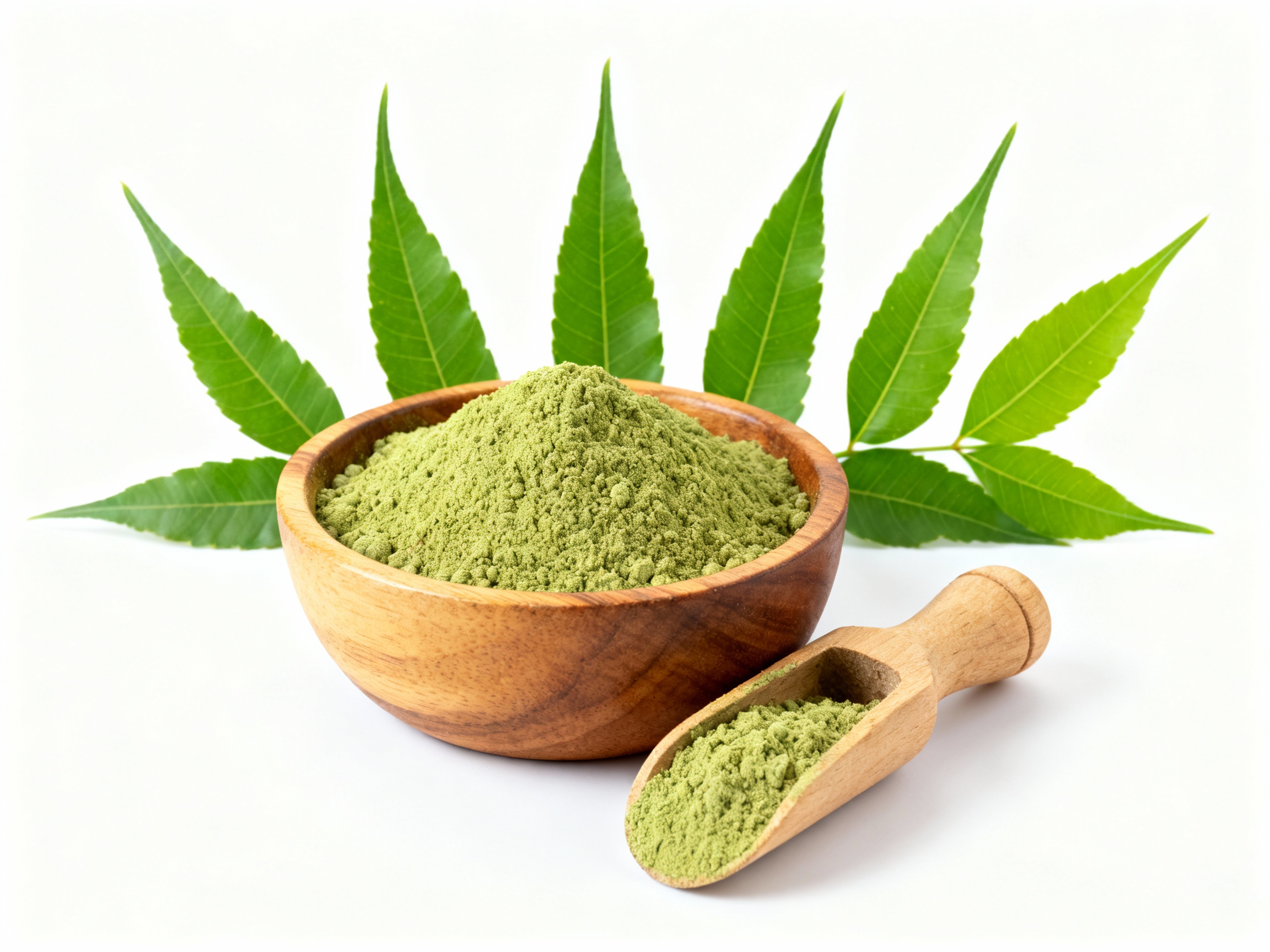 Neem Powder Export IndiRoot Exims