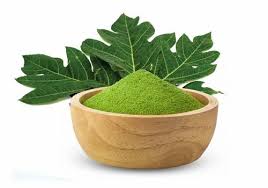 Papaya leaf Powder 